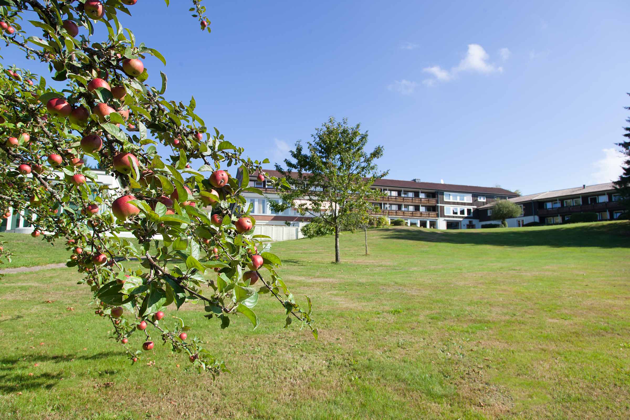 Hotel Schwarzwald Apfelbaum