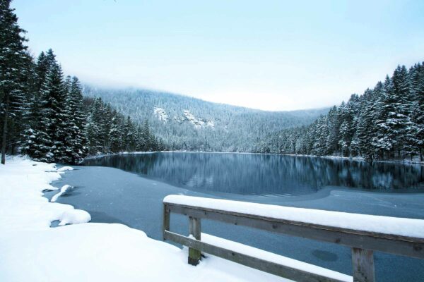 Arbersee Winter