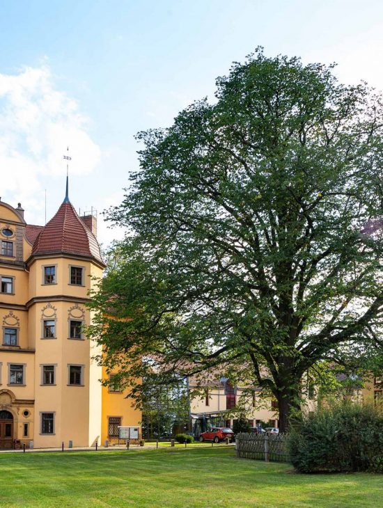 Schlosshotel Althörnitz Fassade