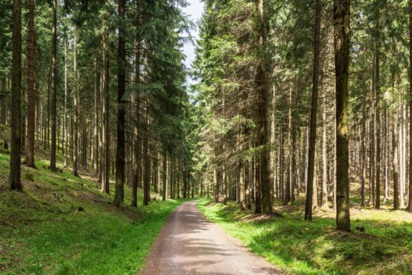 Castlewood Hotels Thüringer Wald