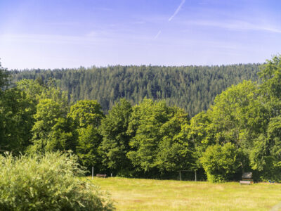 Hotel Schwarzwald Landschaft