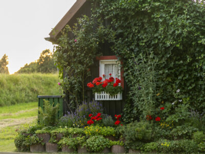 Hotel Schwarzwald Blumen