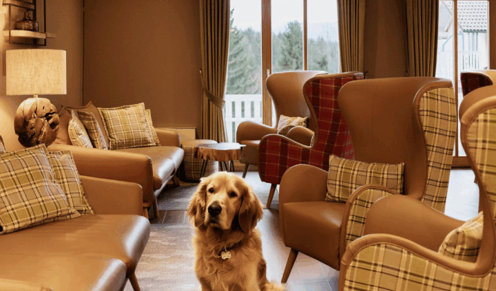 Ahornhof Lobby Mit Hund 1 Ahornhof Lobby Mit Hund 1