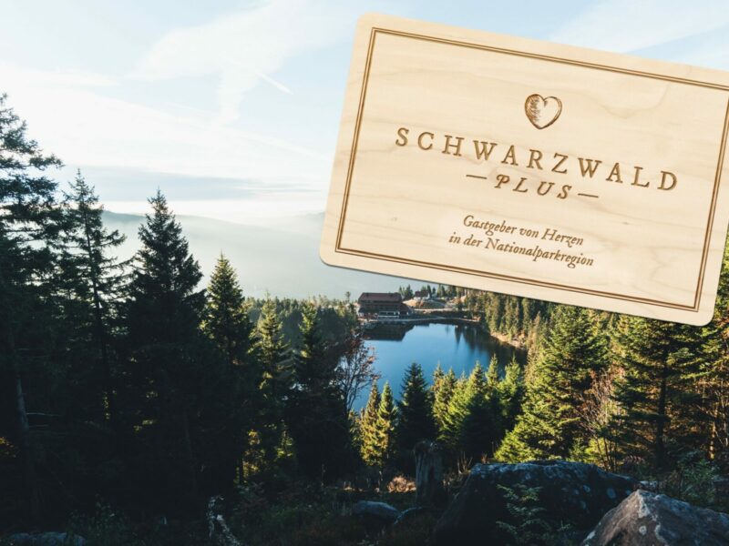 Schwarzwald Plus Karte