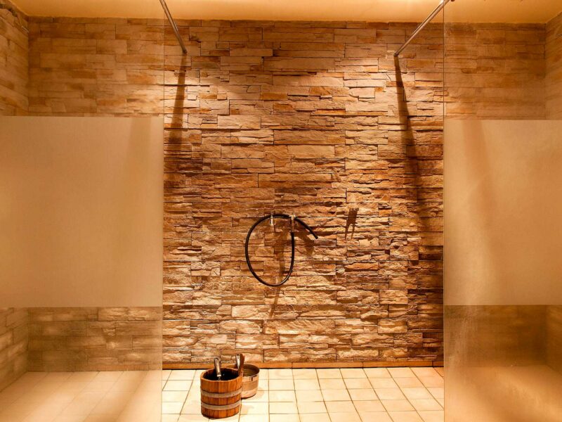 Wellness (1)