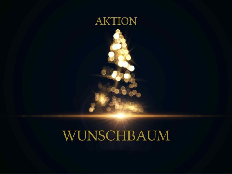 Wunschbaum_Adobe